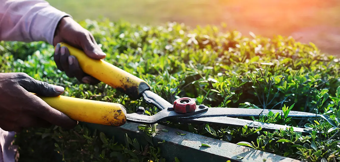 Temp-Worker-iStock-926105008-1140x546