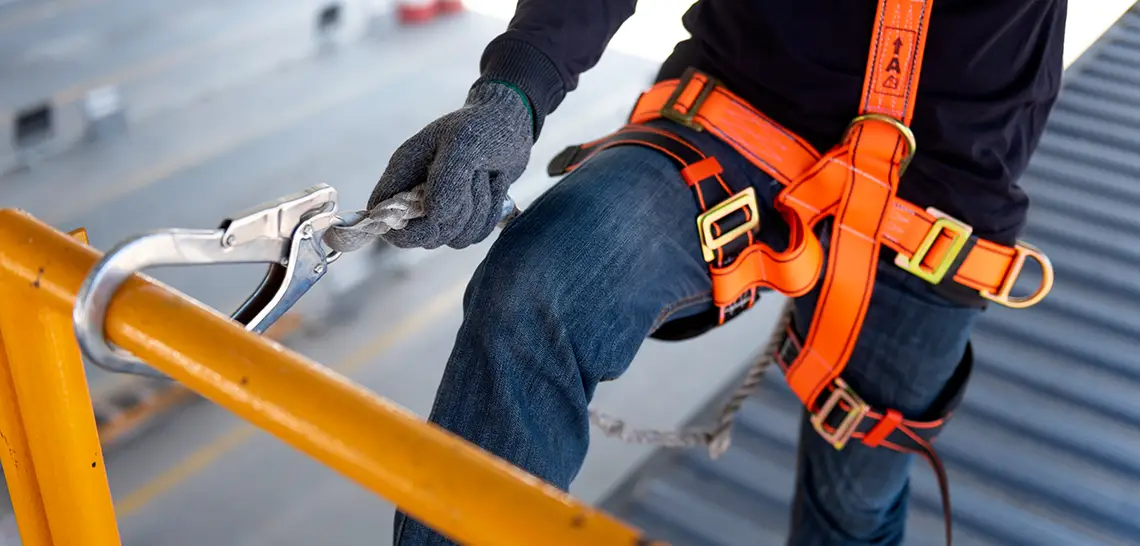 beyond-harness-iStock-977302930-1140x546