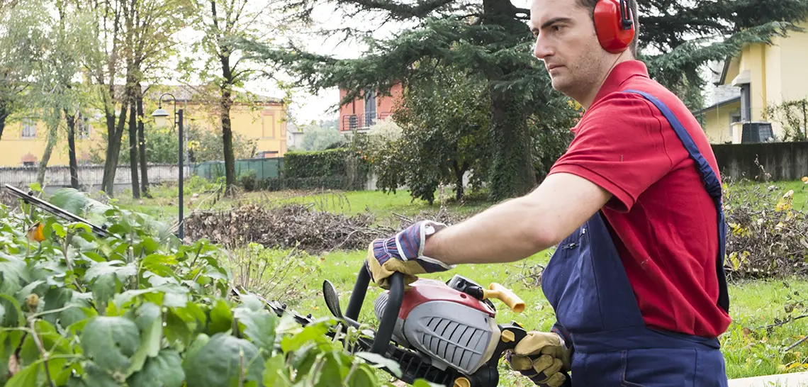 landscaper-ts-506729091-1140x546